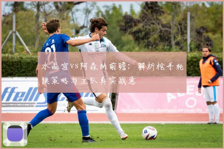 水晶宫vs阿森纳前瞻:解析枪手轮换策略与主队真实战意
