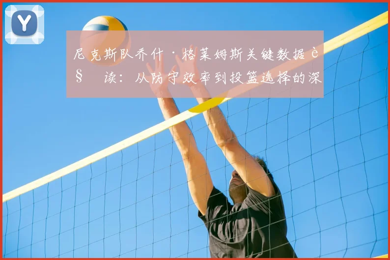 尼克斯队乔什·格莱姆斯关键数据解读:从防守效率到投篮选择的深度分析