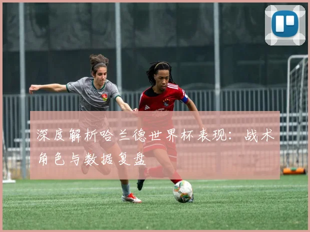 深度解析哈兰德世界杯表现：战术角色与数据复盘